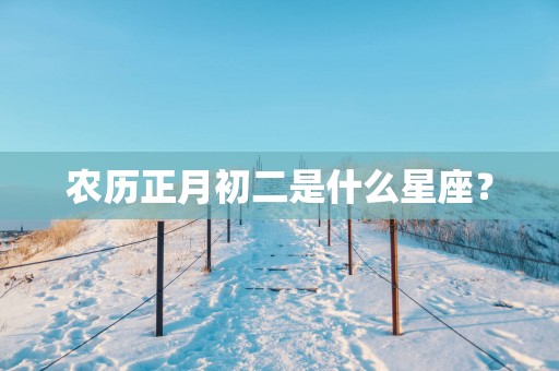 农历正月初二是什么星座？