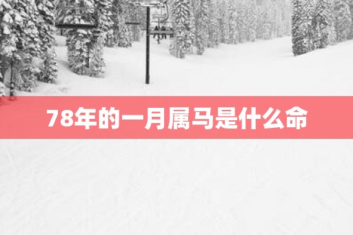 78年的一月属马是什么命