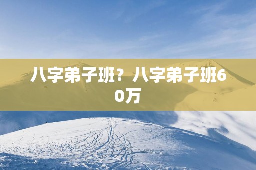 八字弟子班？八字弟子班60万