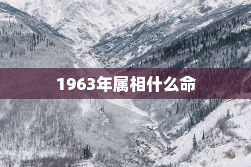 1963年属相什么命