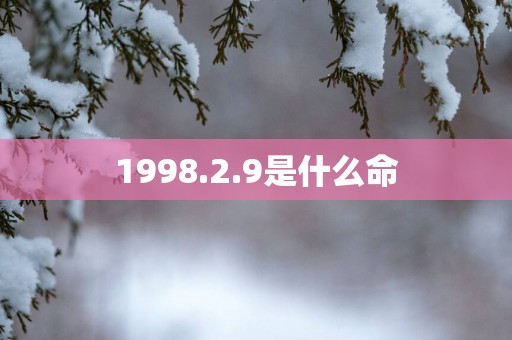1998.2.9是什么命