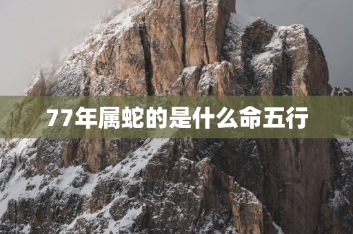 77年属蛇的是什么命五行