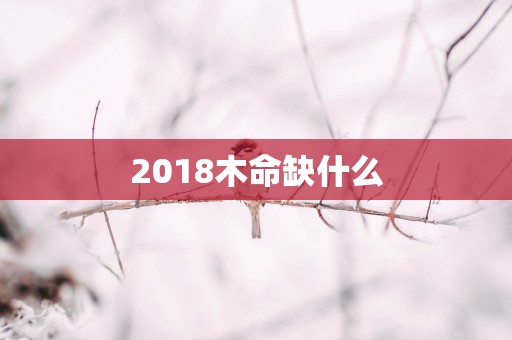 2018木命缺什么