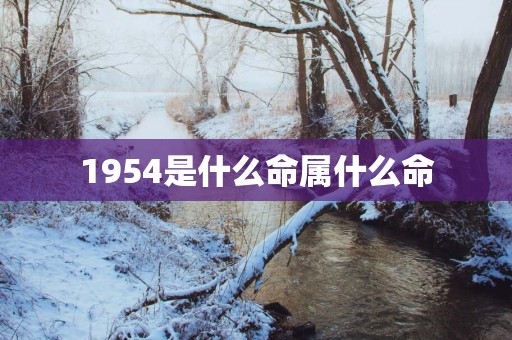 1954是什么命属什么命