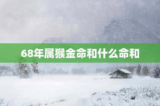 68年属猴金命和什么命和 68年属猴金命和什么命和