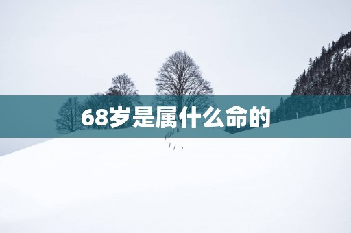 68岁是属什么命的