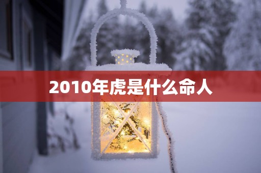 2010年虎是什么命人