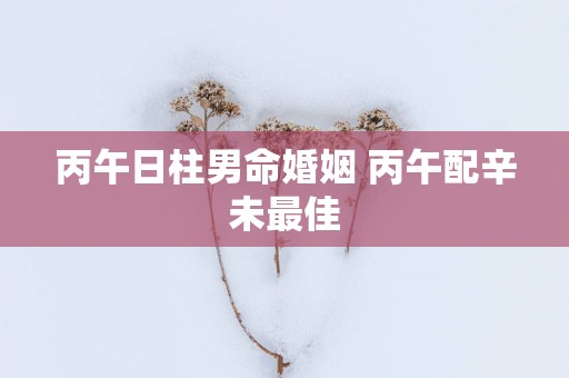 丙午日柱男命婚姻 丙午配辛未最佳