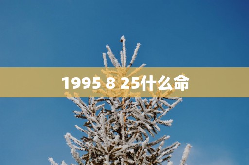 1995 8 25什么命