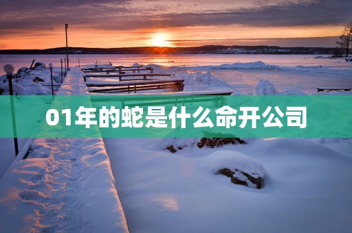 01年的蛇是什么命开公司