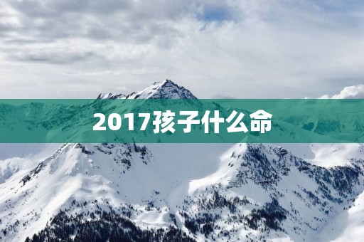 2017孩子什么命