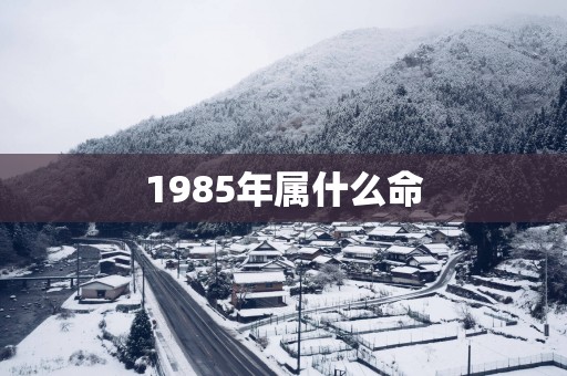 1985年属什么命