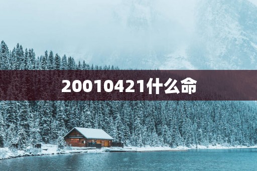 20010421什么命