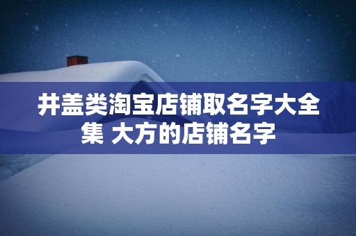井盖类淘宝店铺取名字大全集 大方的店铺名字