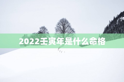 2025壬寅年是什么命格