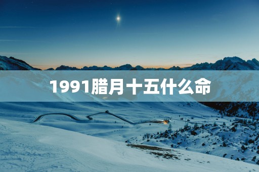 1991腊月十五什么命