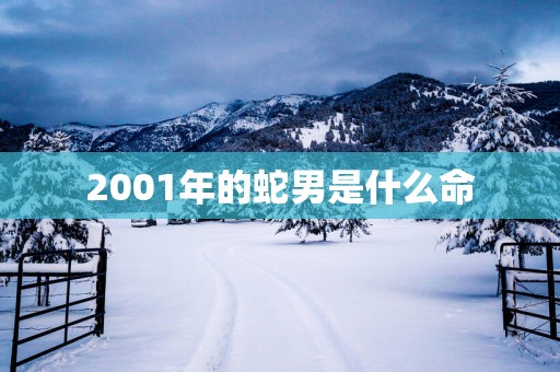 2001年的蛇男是什么命