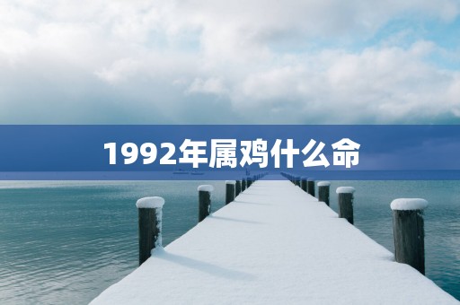 1992年属鸡什么命