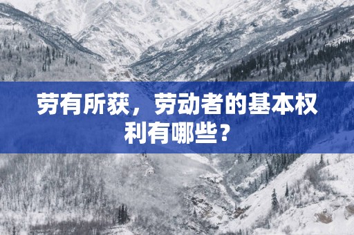 劳有所获，劳动者的基本权利有哪些？