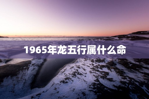 1965年龙五行属什么命