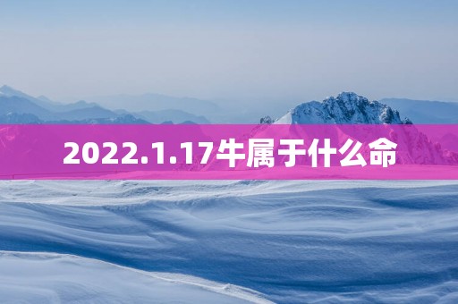 2025.1.17牛属于什么命
