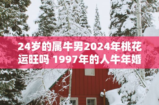 24岁的属牛男2025年桃花运旺吗 1997年的人蛇年婚姻趋势