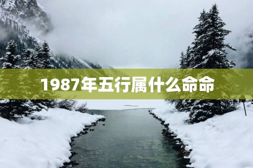 1987年五行属什么命命