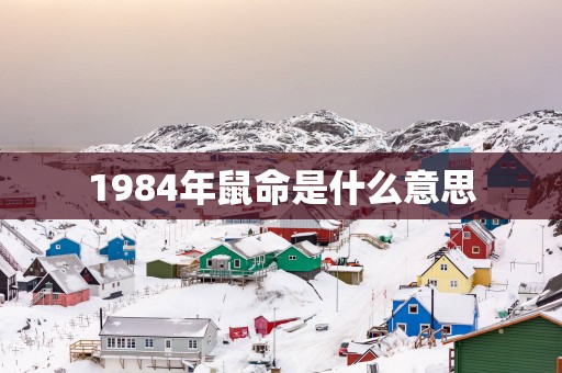 1984年鼠命是什么意思