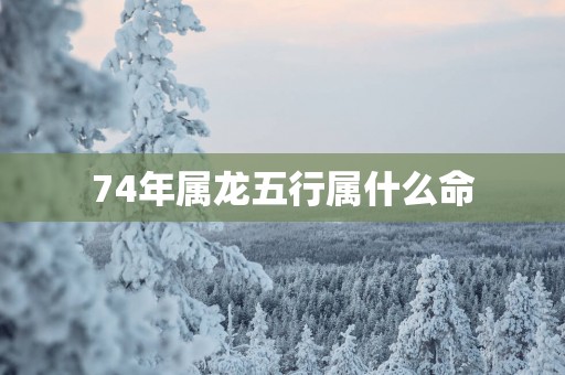 74年属龙五行属什么命