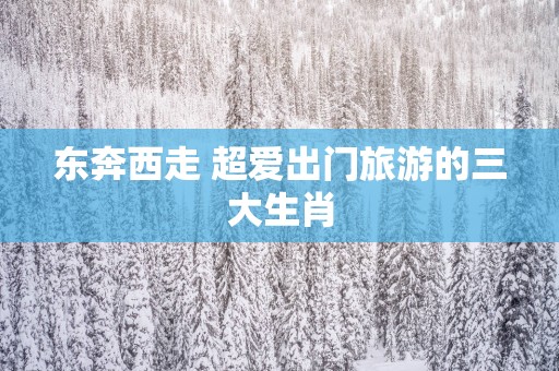 东奔西走 超爱出门旅游的三大生肖