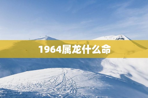 1964属龙什么命