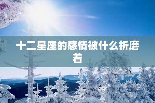 十二星座的感情被什么折磨着