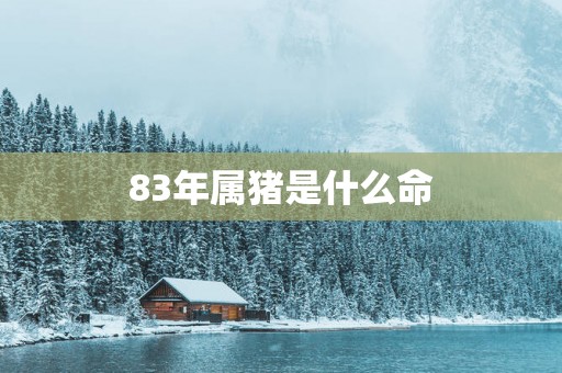 83年属猪是什么命 83年属猪是什么命