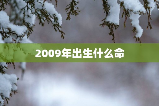 2009年出生什么命