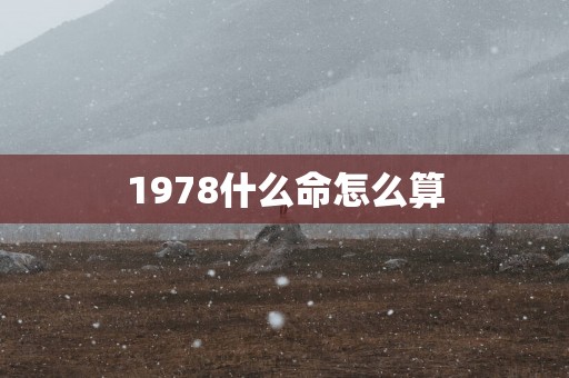 1978什么命怎么算
