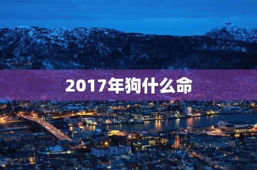 2017年狗什么命