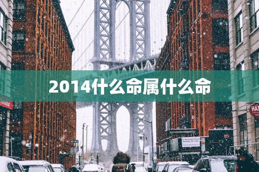 2014什么命属什么命