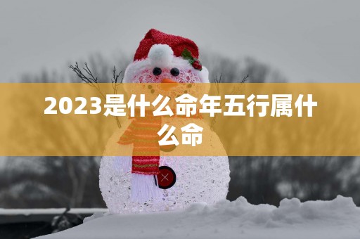 2025是什么命年五行属什么命