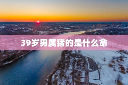 39岁男属猪的是什么命
