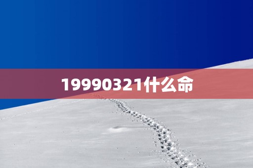 19990321什么命