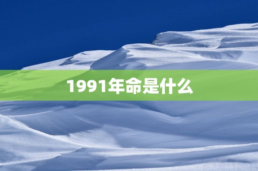 1991年命是什么