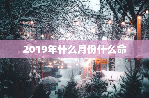 2019年什么月份什么命