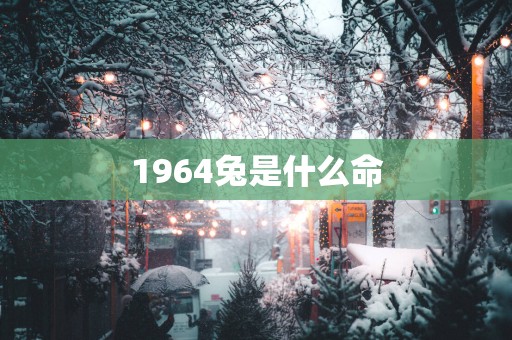 1964兔是什么命