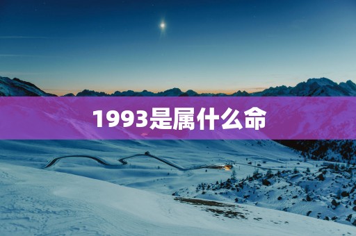 1993是属什么命