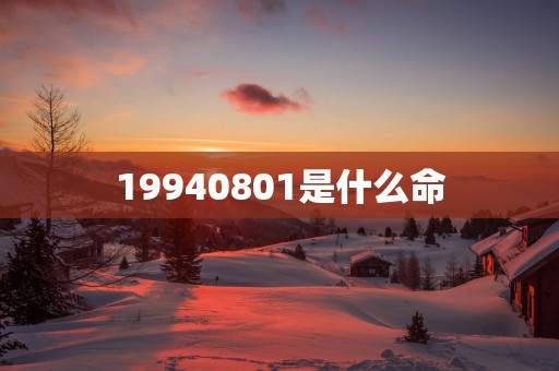 19940801是什么命