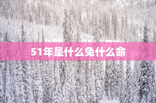 51年是什么兔什么命