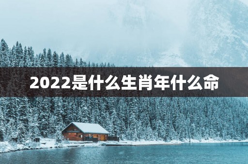 2025是什么生肖年什么命