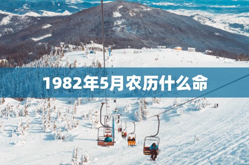 1982年5月农历什么命