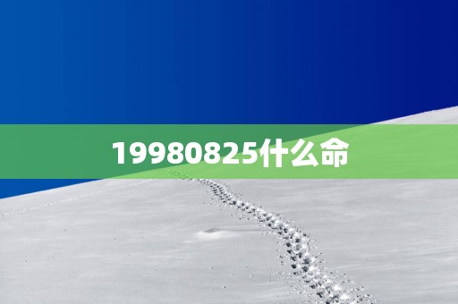 19980825什么命