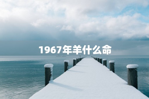 1967年羊什么命